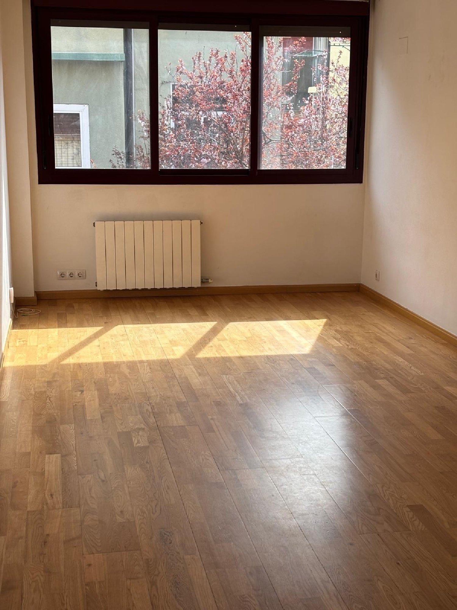  en venta ático Zaragoza Centro 50004 D.C. Zaragoza 7