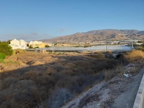 Adra Poniente Almeriense terrain foto 6358575