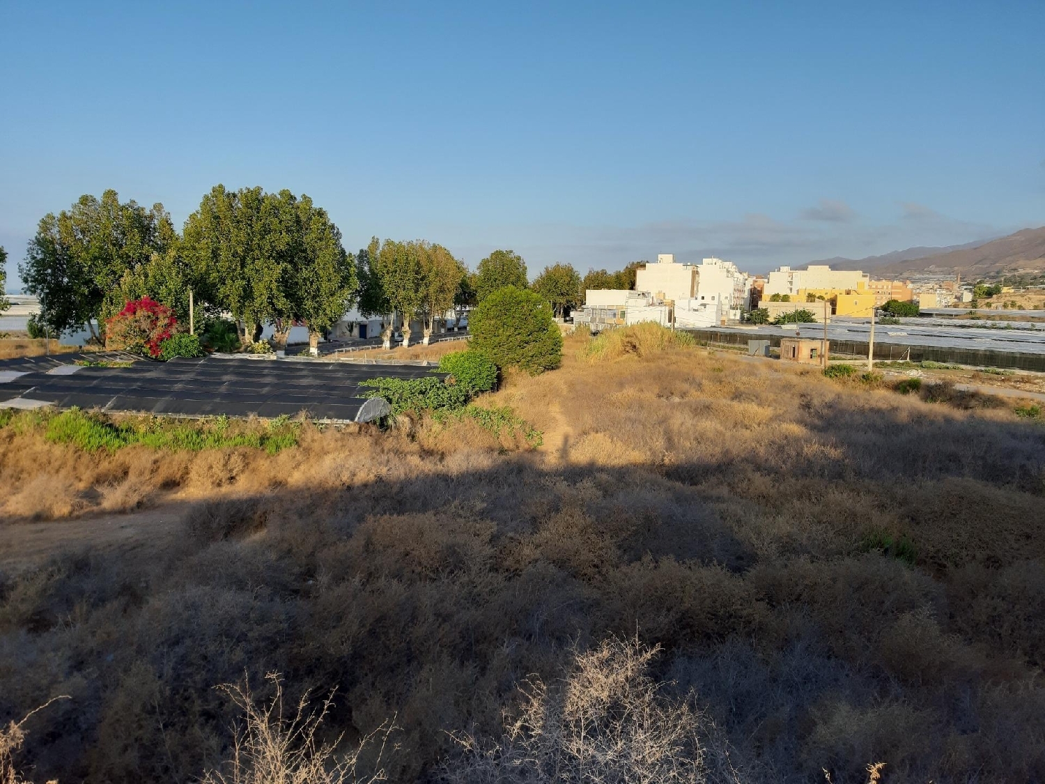  for sale plot Adra Poniente Almeriense 3