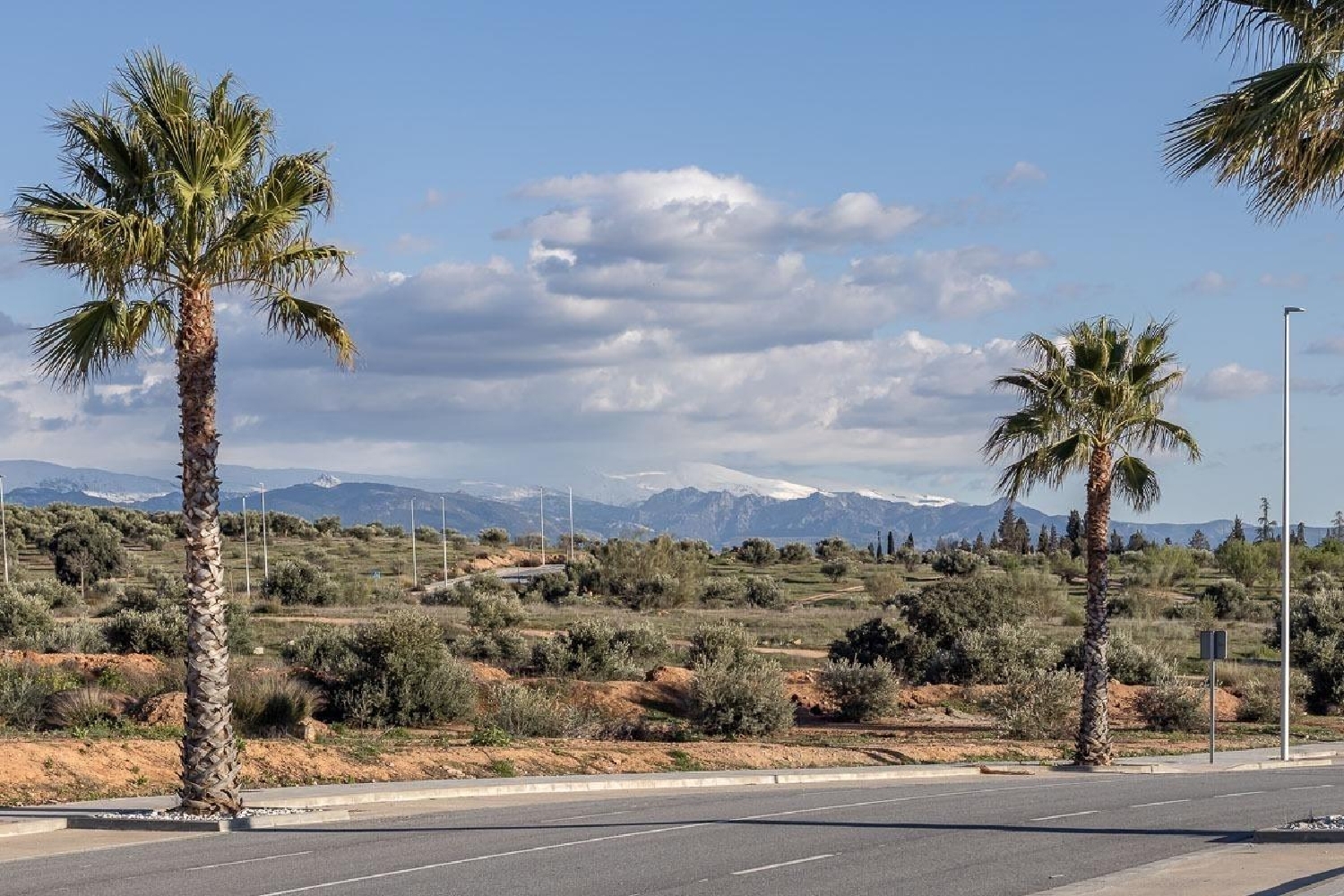  for sale plot Albolote Vega De Granada 3