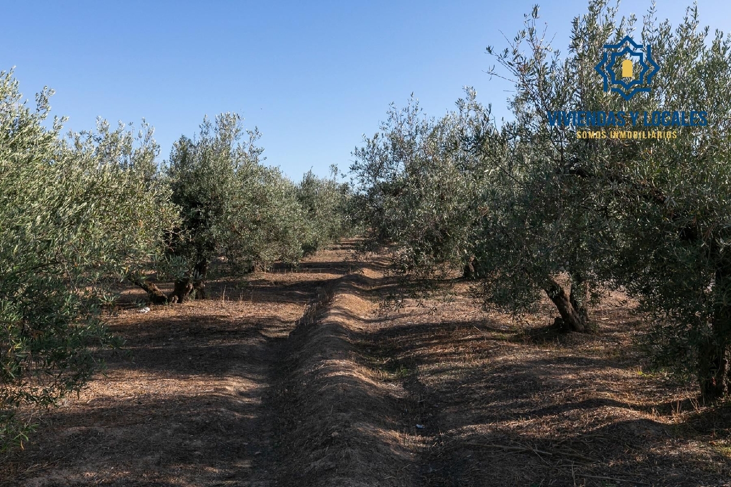  till salu tomt Albolote Vega De Granada 7