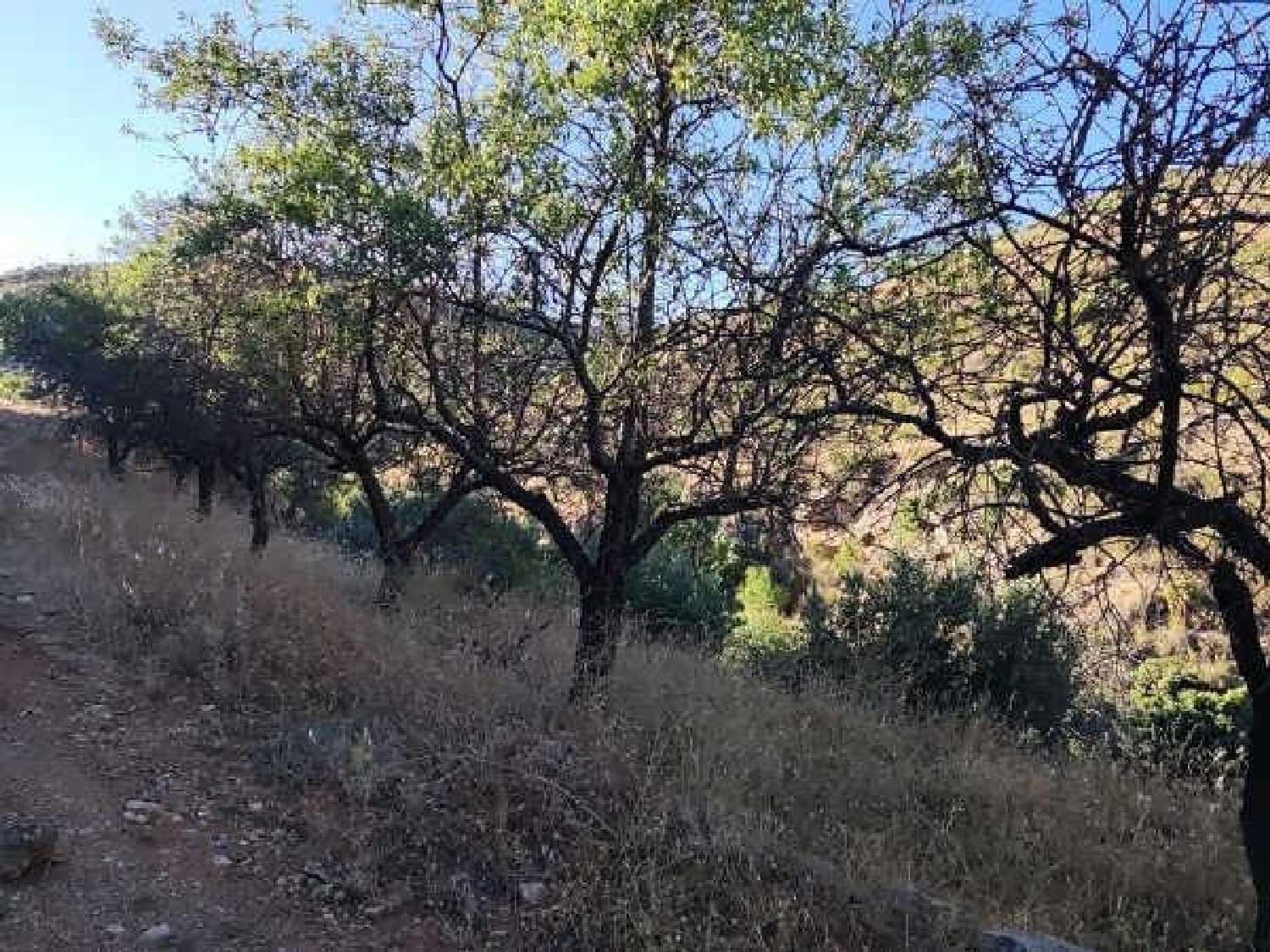  te koop perceel Albuñuelas Valle De Lecrín 6