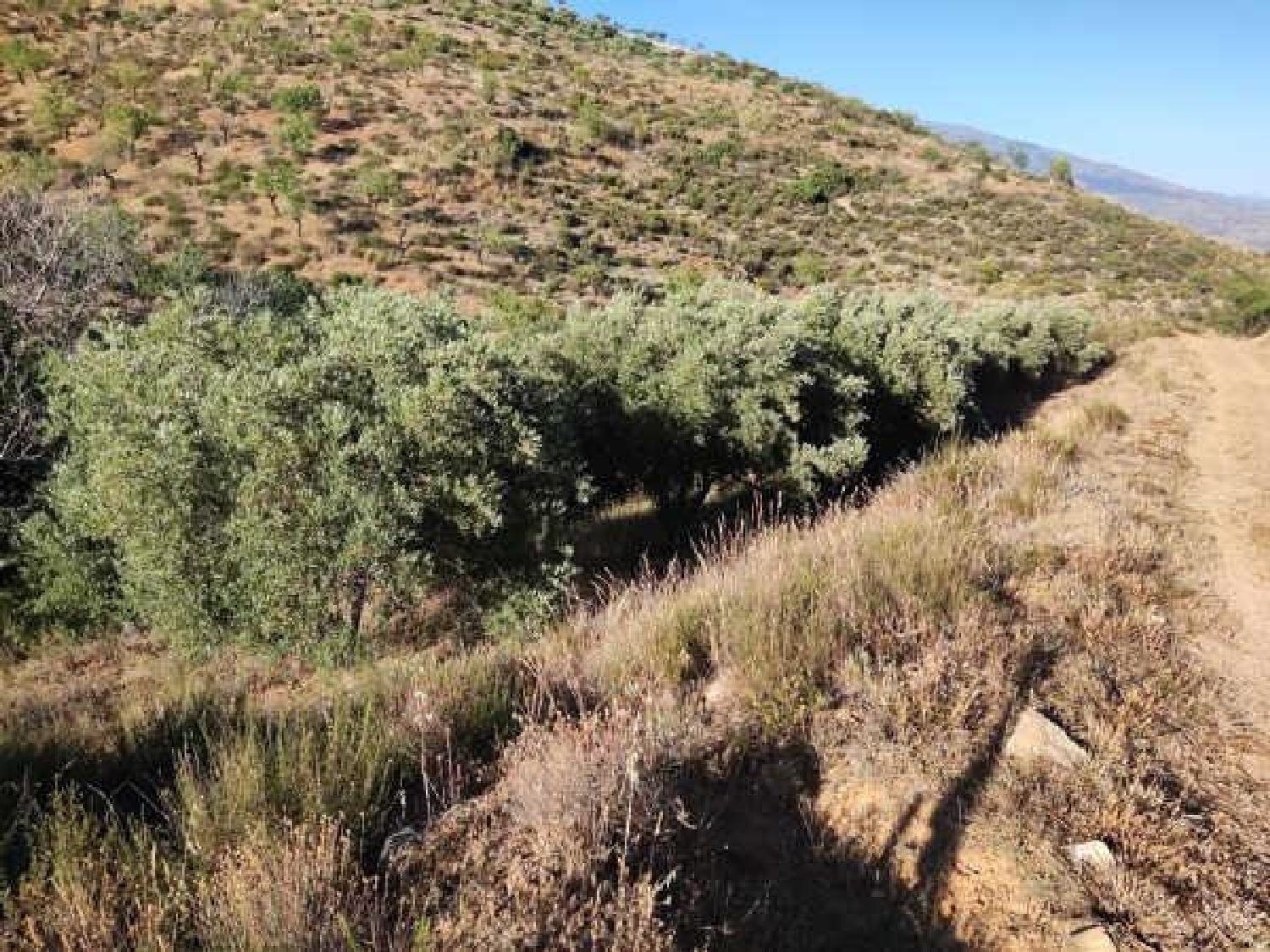  te koop perceel Albuñuelas Valle De Lecrín 8