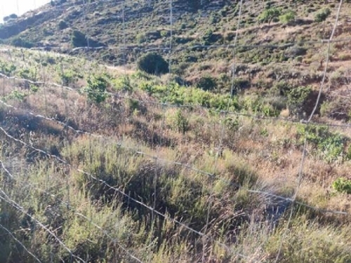 Albuñuelas Valle De Lecrín perceel foto 6356119