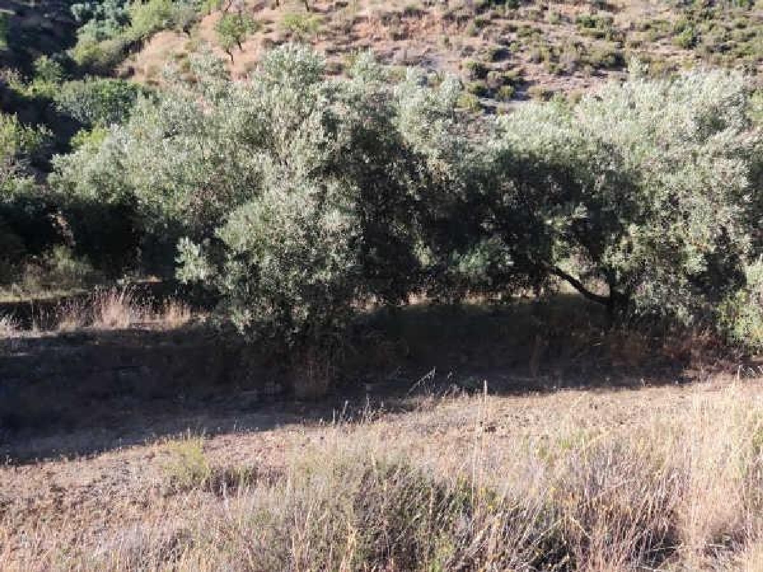  te koop perceel Albuñuelas Valle De Lecrín 7