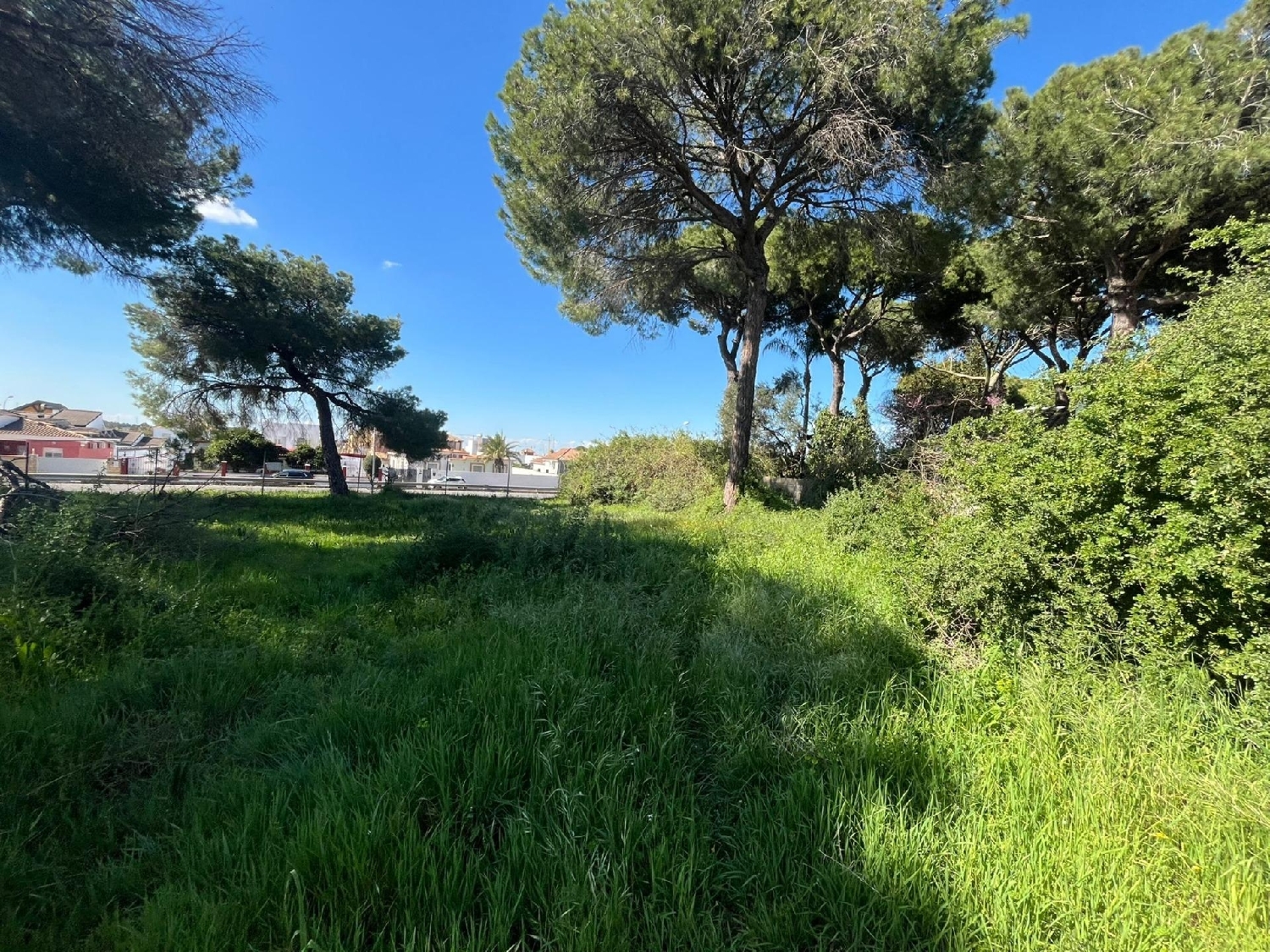  kaufen Grundstück Alcalá De Guadaira Metropolitana De Sevilla 3