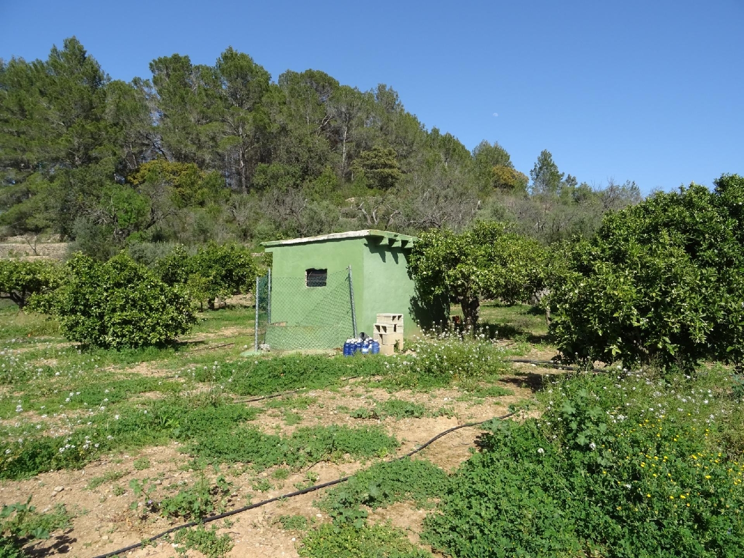  kaufen Grundstück Alcalalí Marina Alta 3