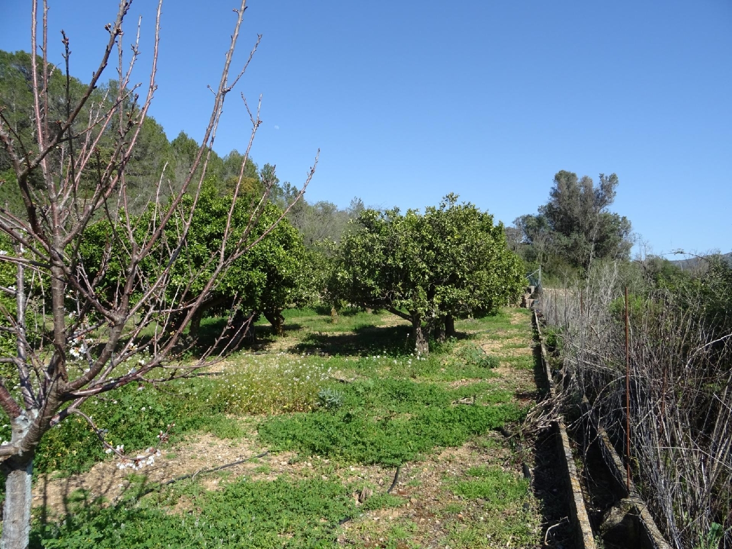  kaufen Grundstück Alcalalí Marina Alta 2