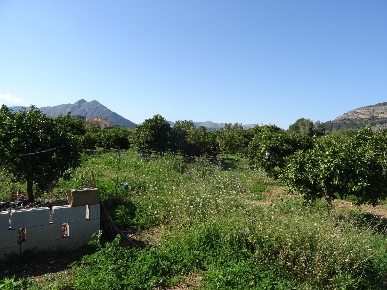  kaufen Grundstück Alcalalí Marina Alta 5