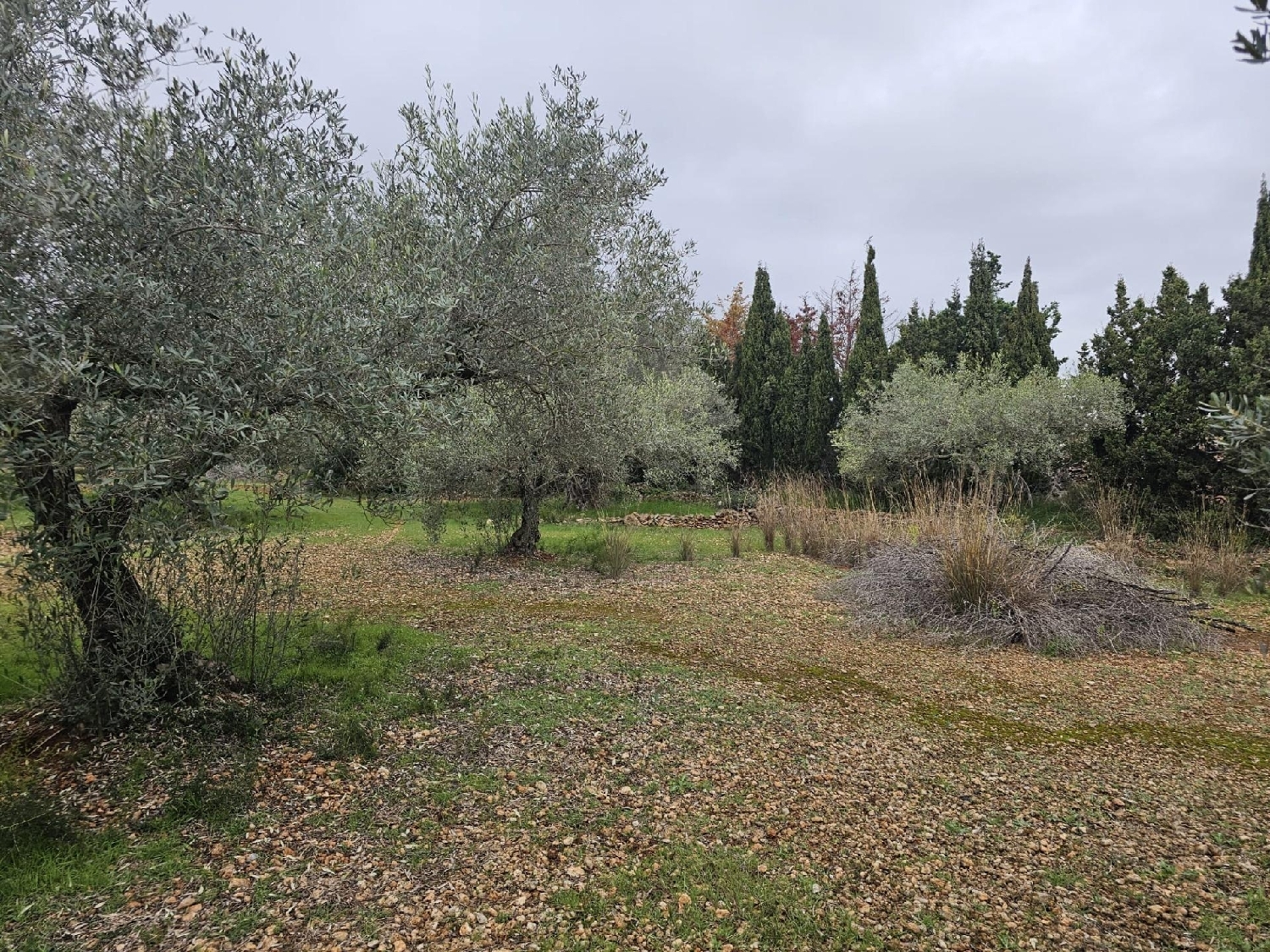  till salu tomt Alcanar Montsià 1