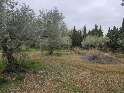 Alcanar Montsià tomt foto 6358833