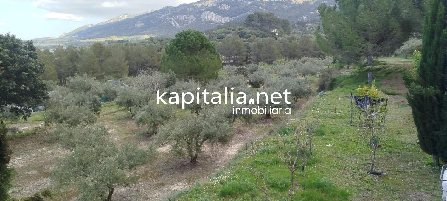  for sale plot Alfafara Comtat 3