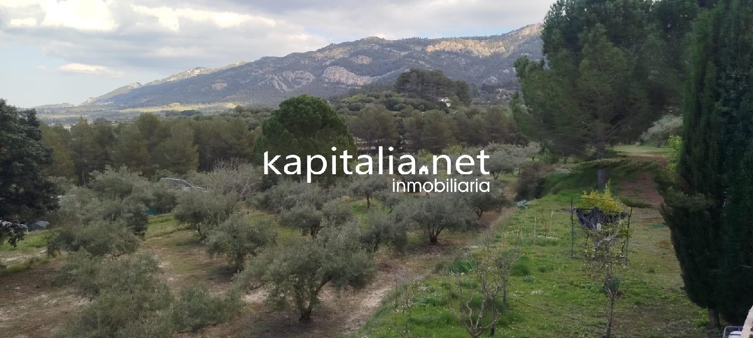  for sale plot Alfafara Comtat 4