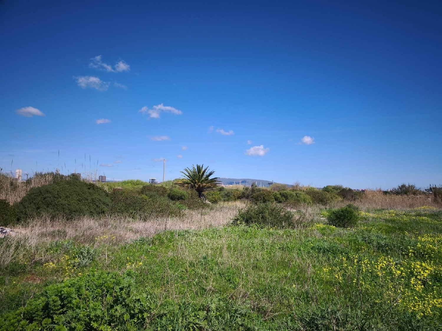  for sale plot Algeciras Casco Antiguo Campo De Gibraltar 3