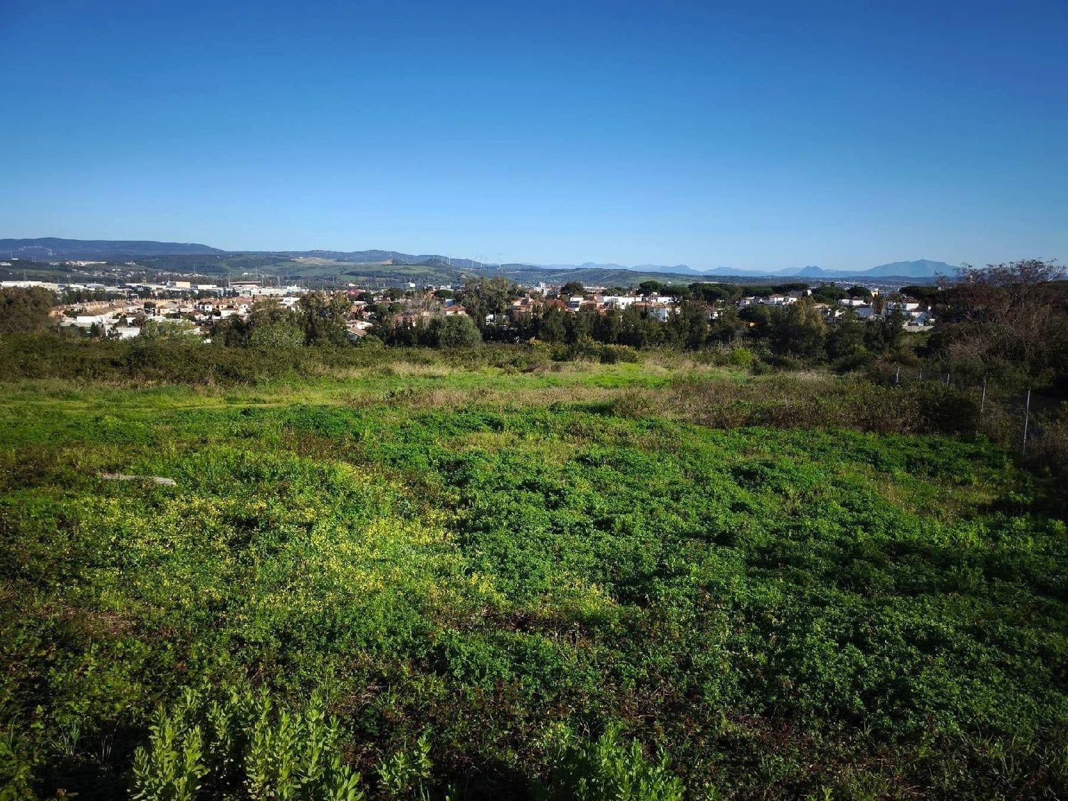  kaufen Grundstück Algeciras Casco Antiguo Campo De Gibraltar 5