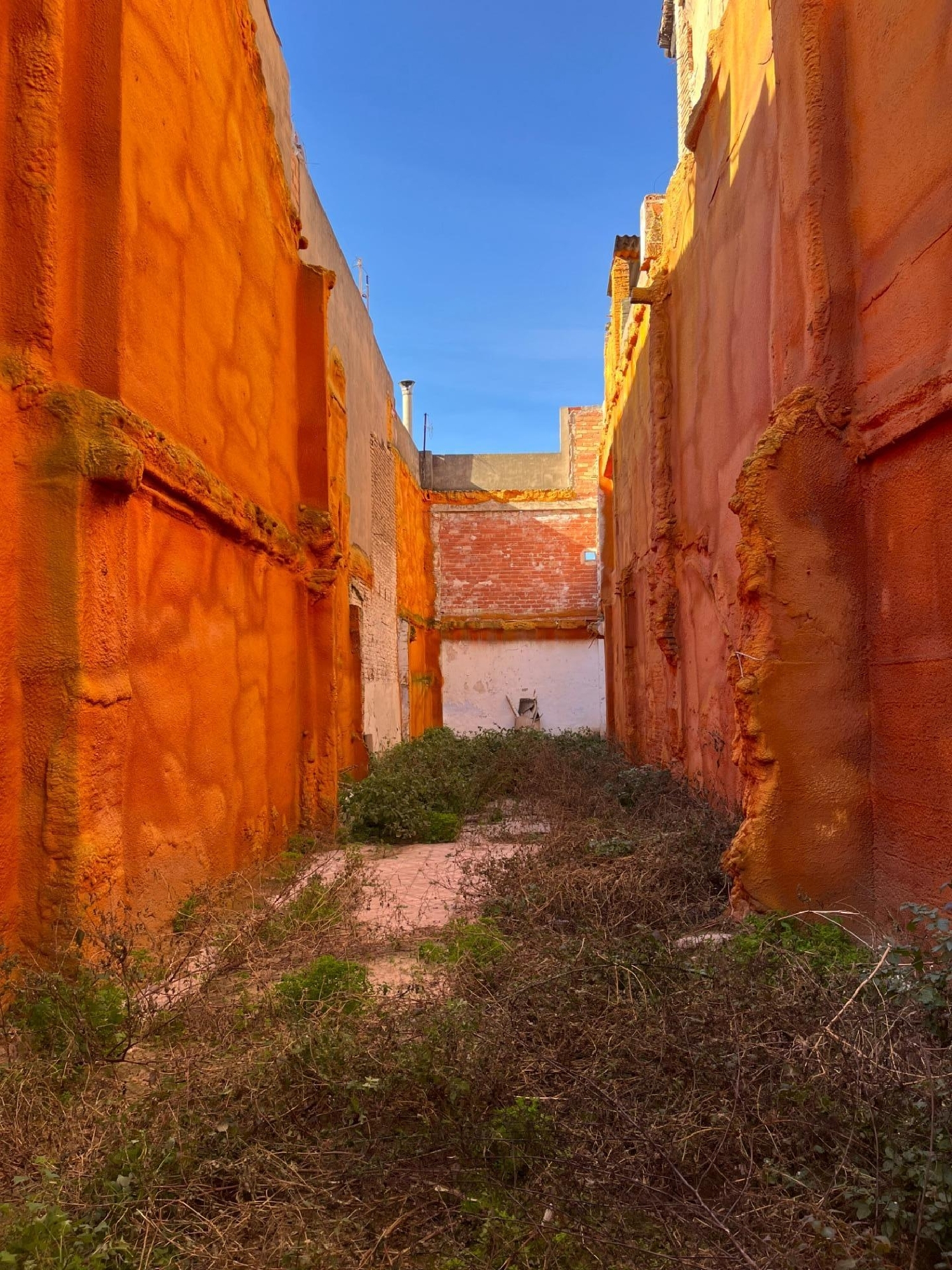  kaufen Grundstück Algemesí Ribera Alta 3