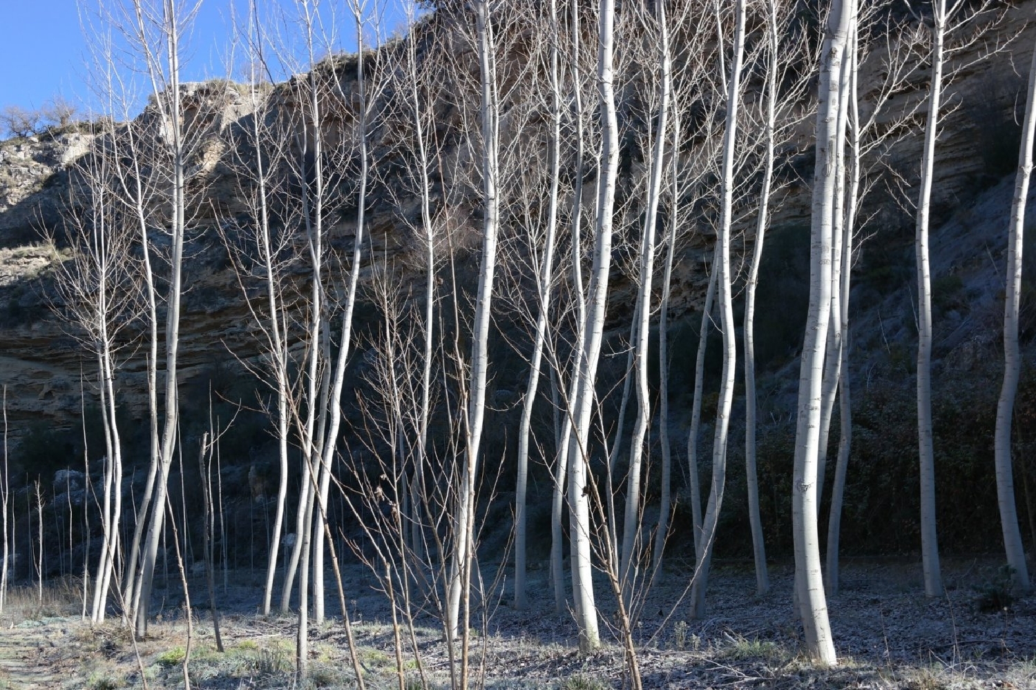  kaufen Grundstück Alhama De Granada Alhama 7