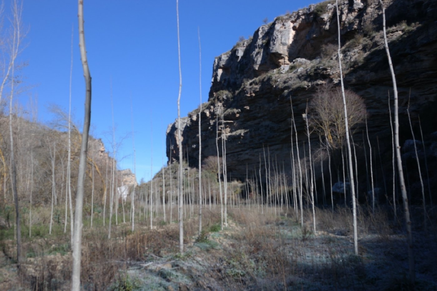  kaufen Grundstück Alhama De Granada Alhama 4