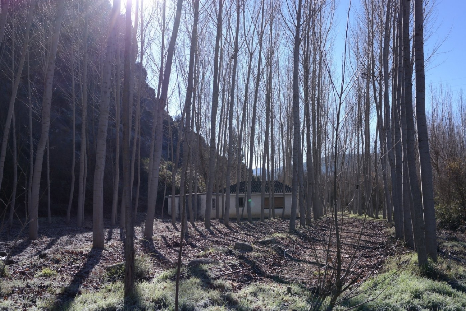  kaufen Grundstück Alhama De Granada Alhama 5