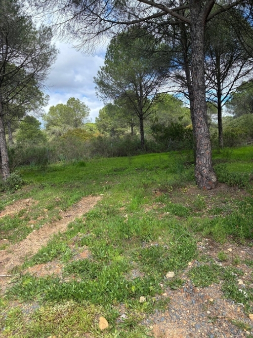 Aljaraque Metropolitana De Huelva tomt foto 6360605