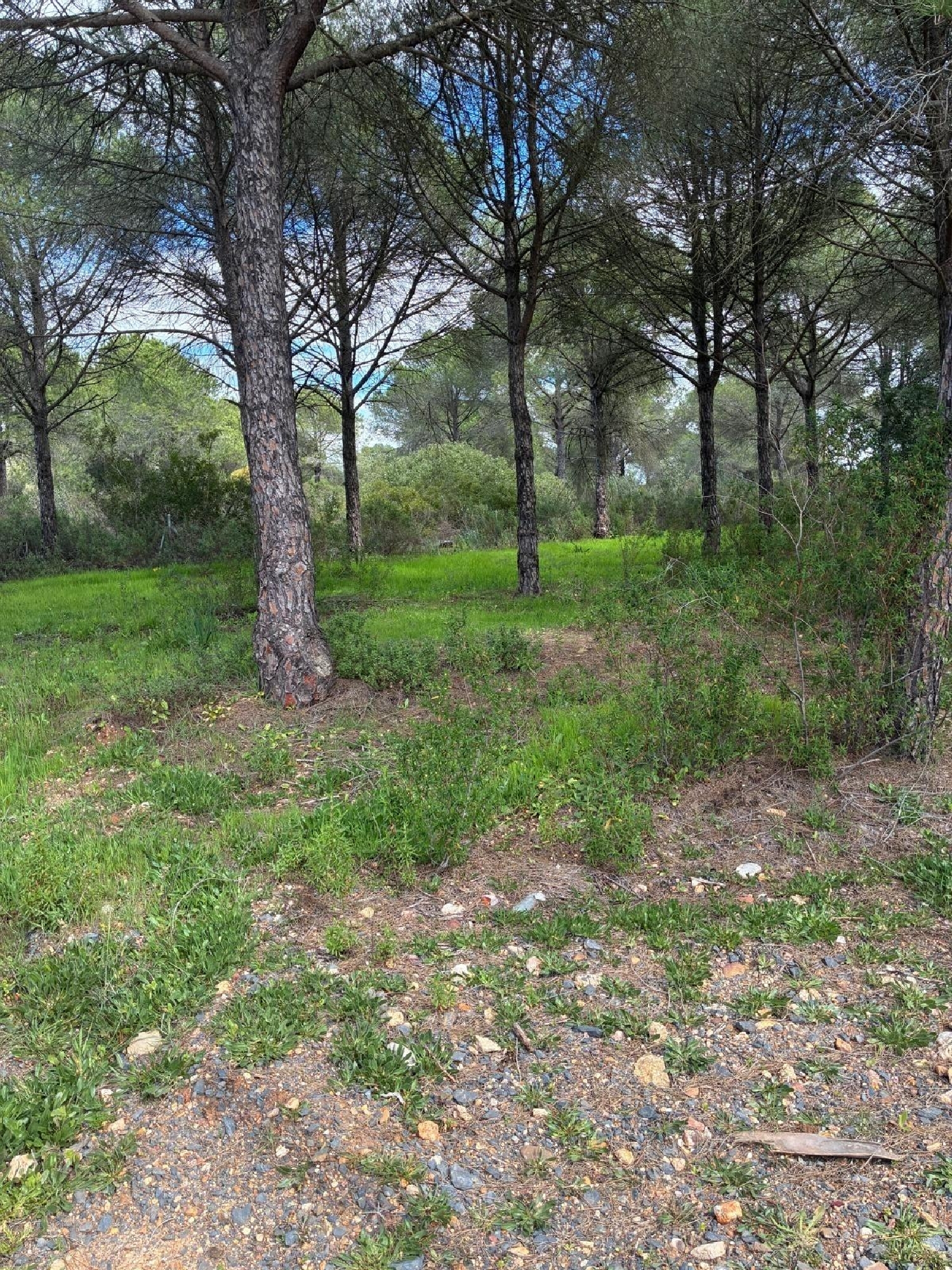  till salu tomt Aljaraque Metropolitana De Huelva 2