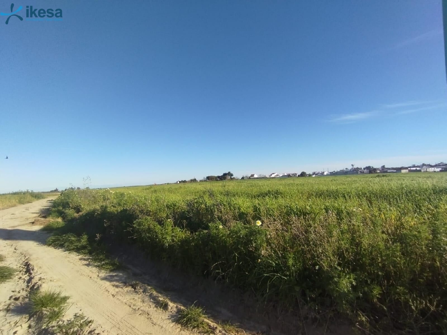  kaufen Grundstück Almonte Condado (El) 7