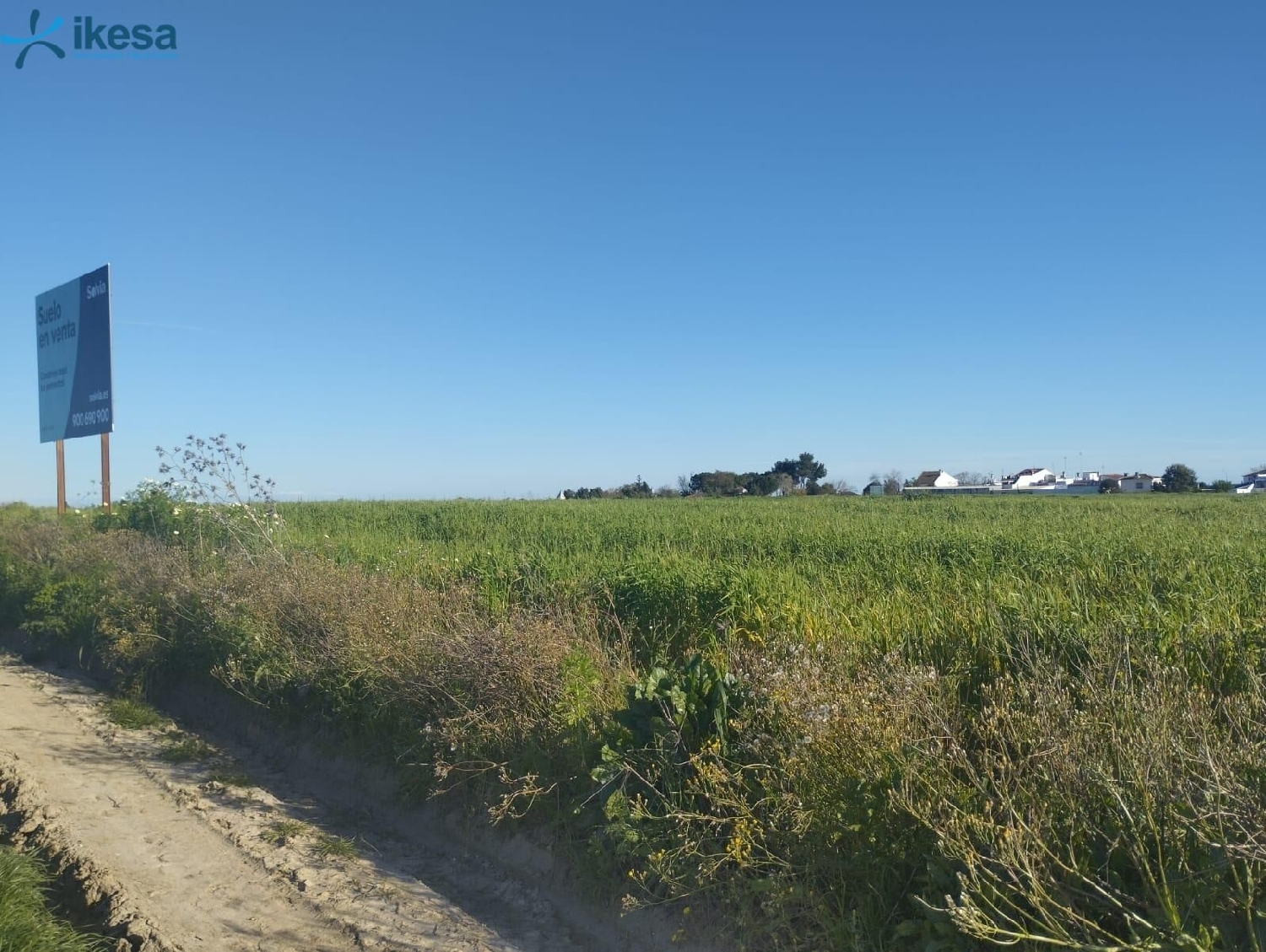  kaufen Grundstück Almonte Condado (El) 6