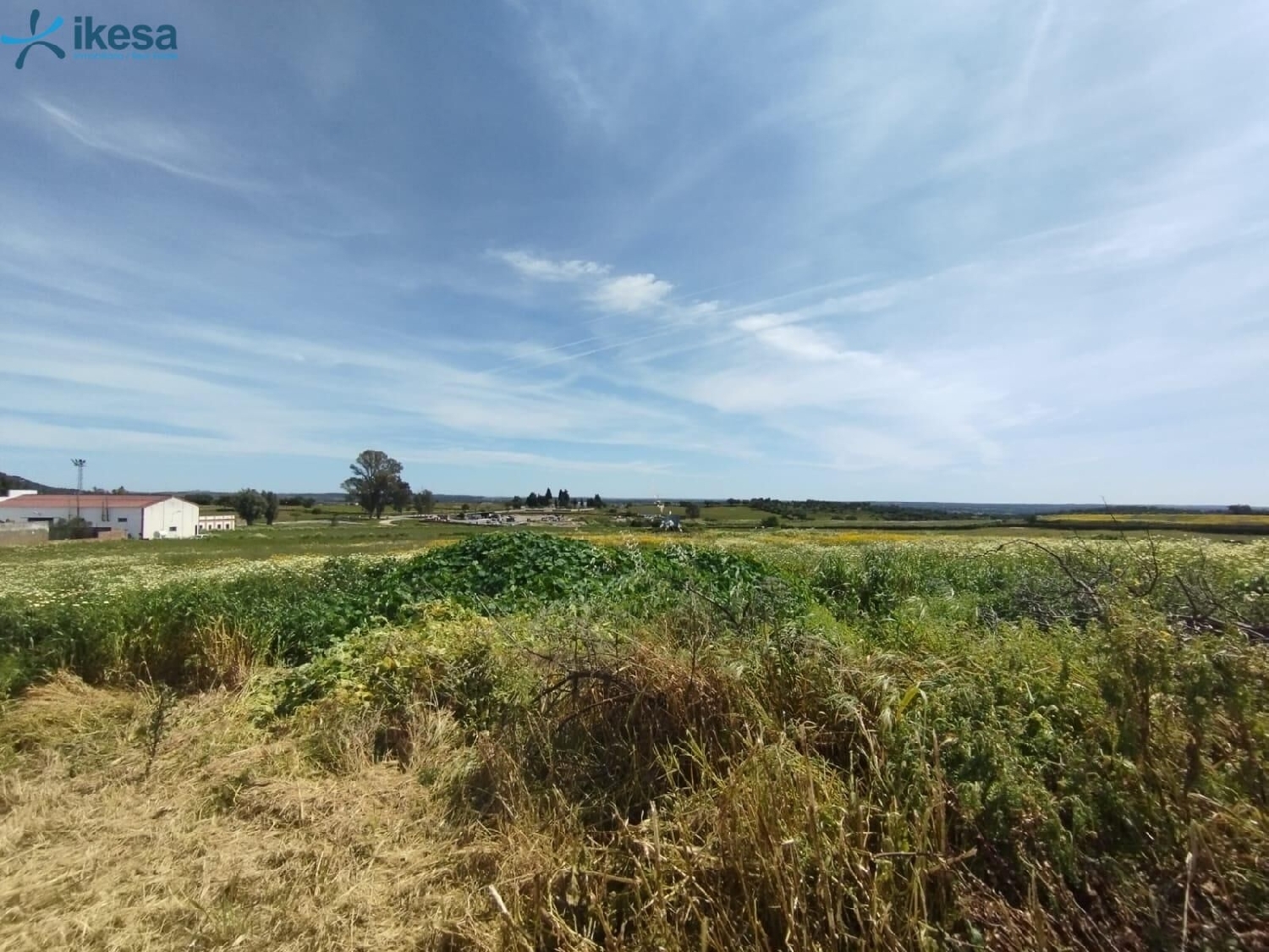 for sale plot Alosno Andévalo (El) 2