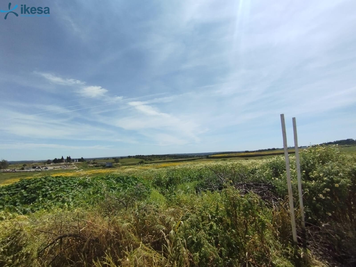 for sale plot Alosno Andévalo (El) 4