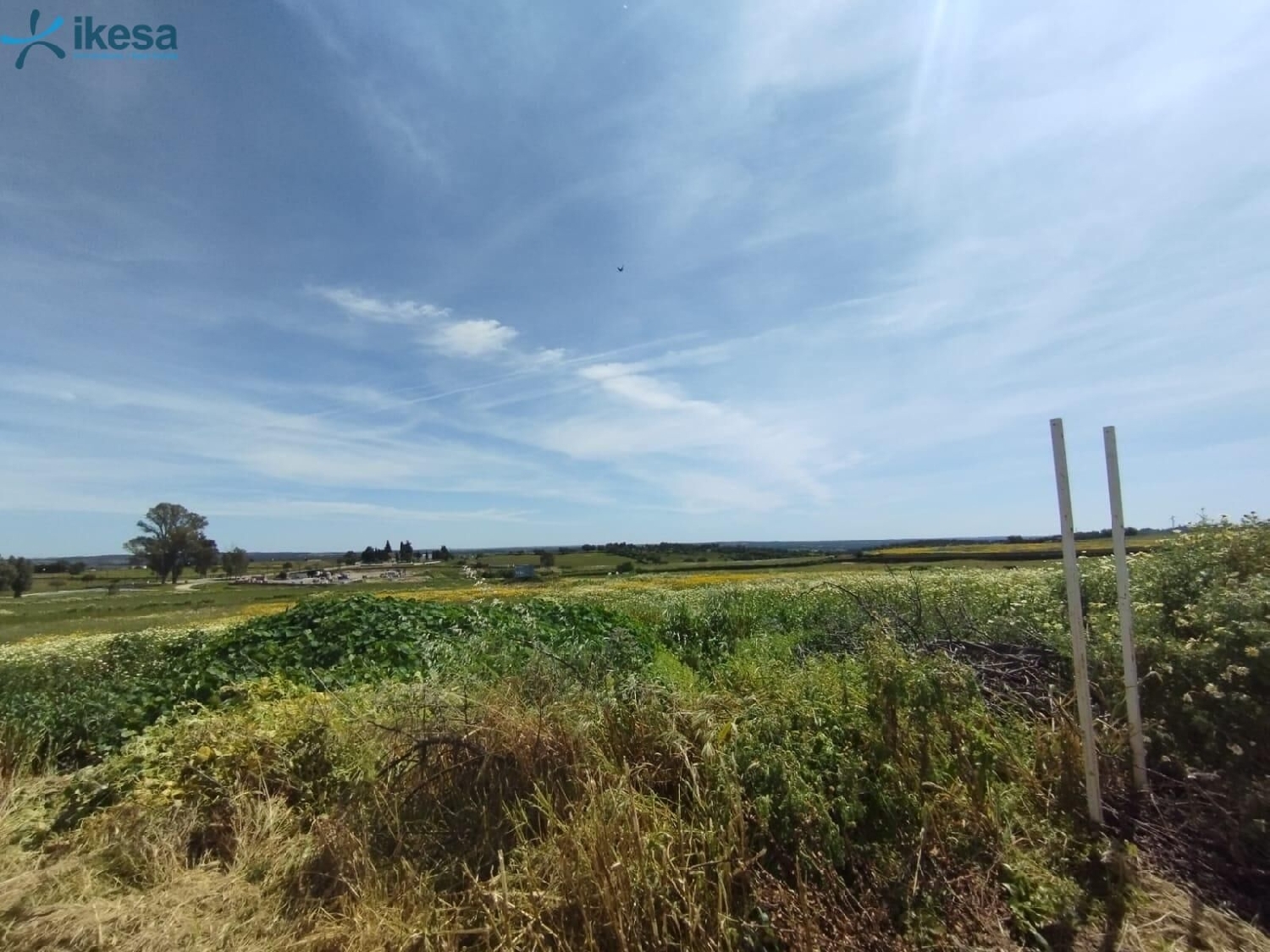 for sale plot Alosno Andévalo (El) 6