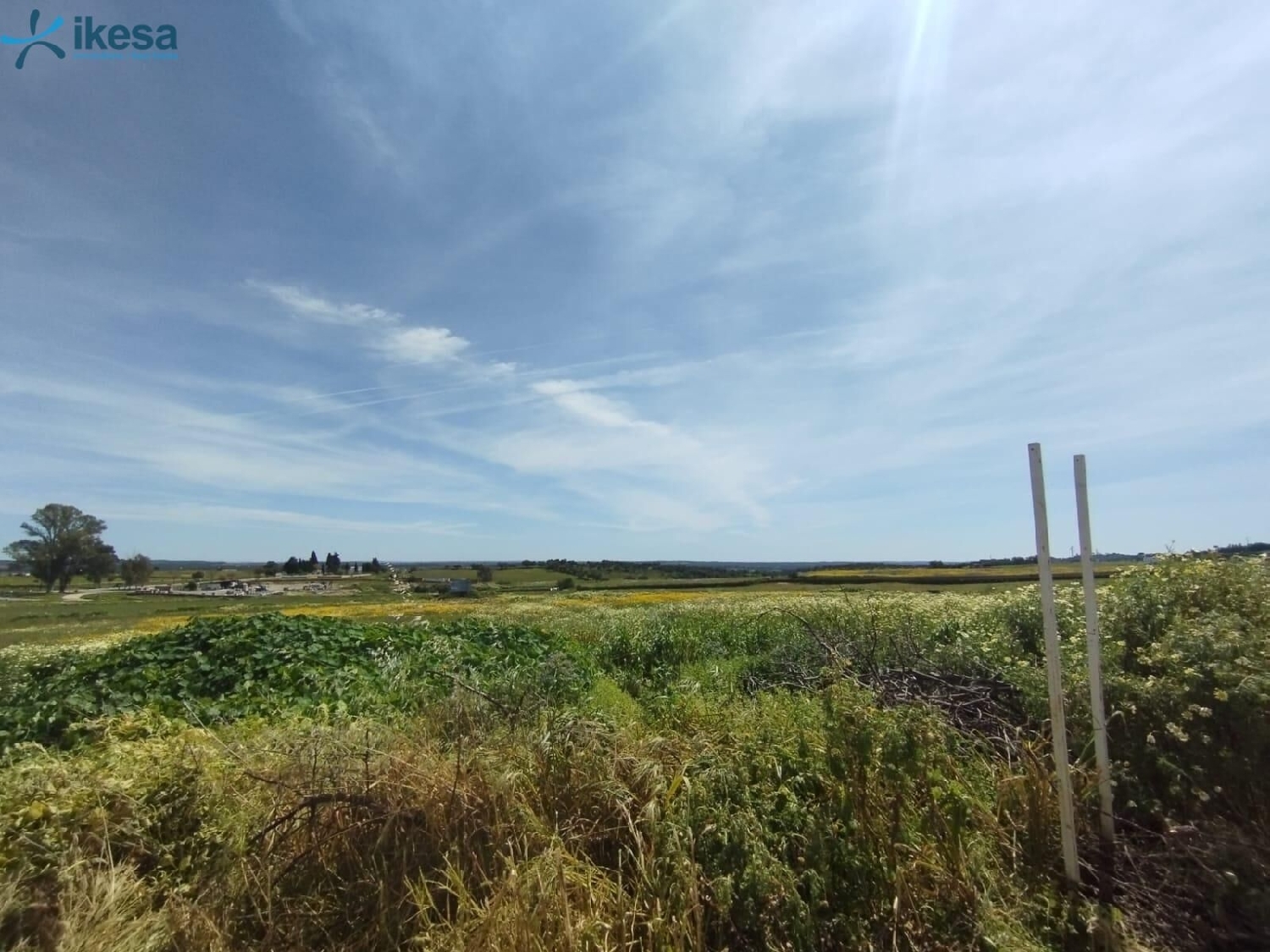 for sale plot Alosno Andévalo (El) 1