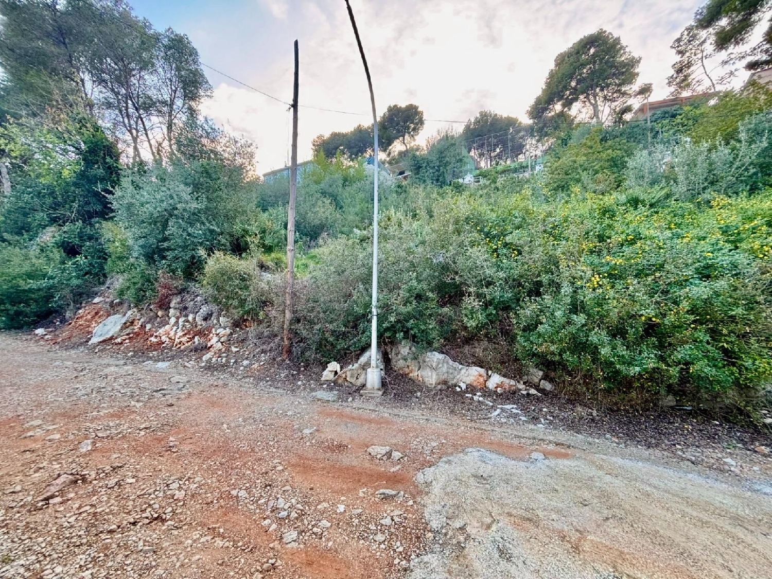  kaufen Grundstück Alzira Ribera Alta 7