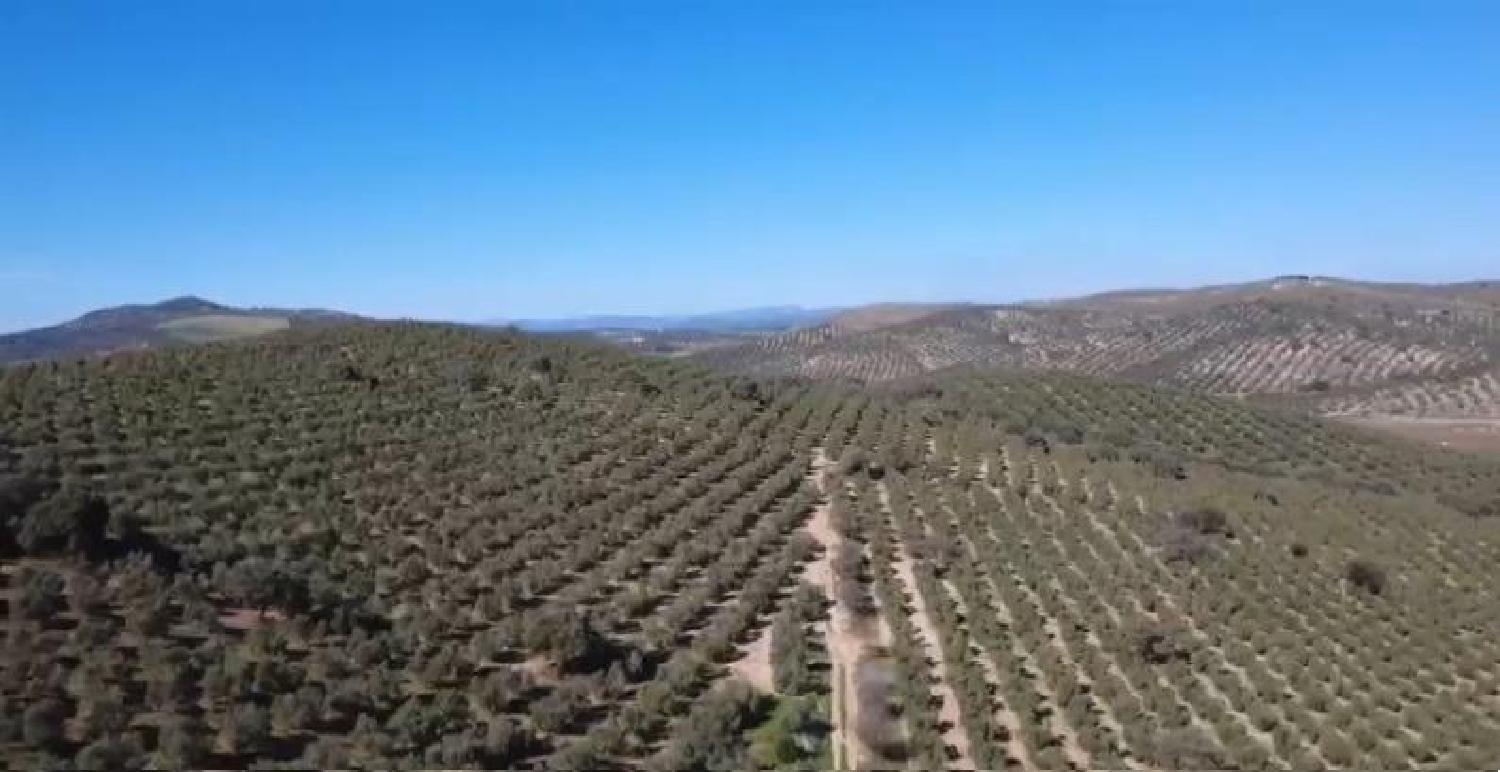  te koop perceel Antequera Antequera 1