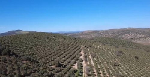 Antequera Antequera perceel foto 6362120