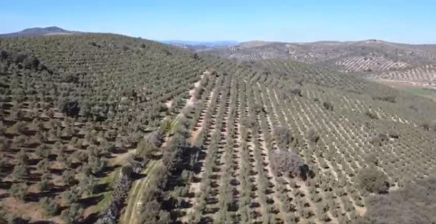  te koop perceel Antequera Antequera 8