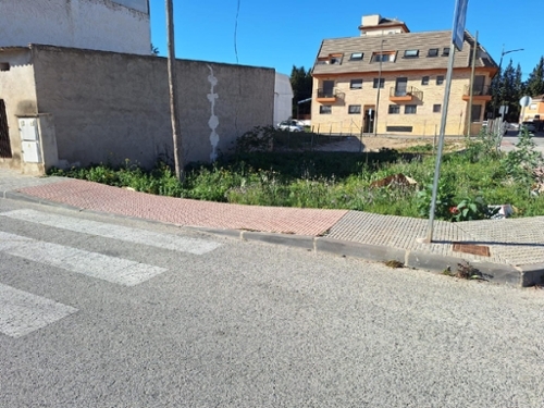 Archena Valle De Ricote terreno foto 6357736