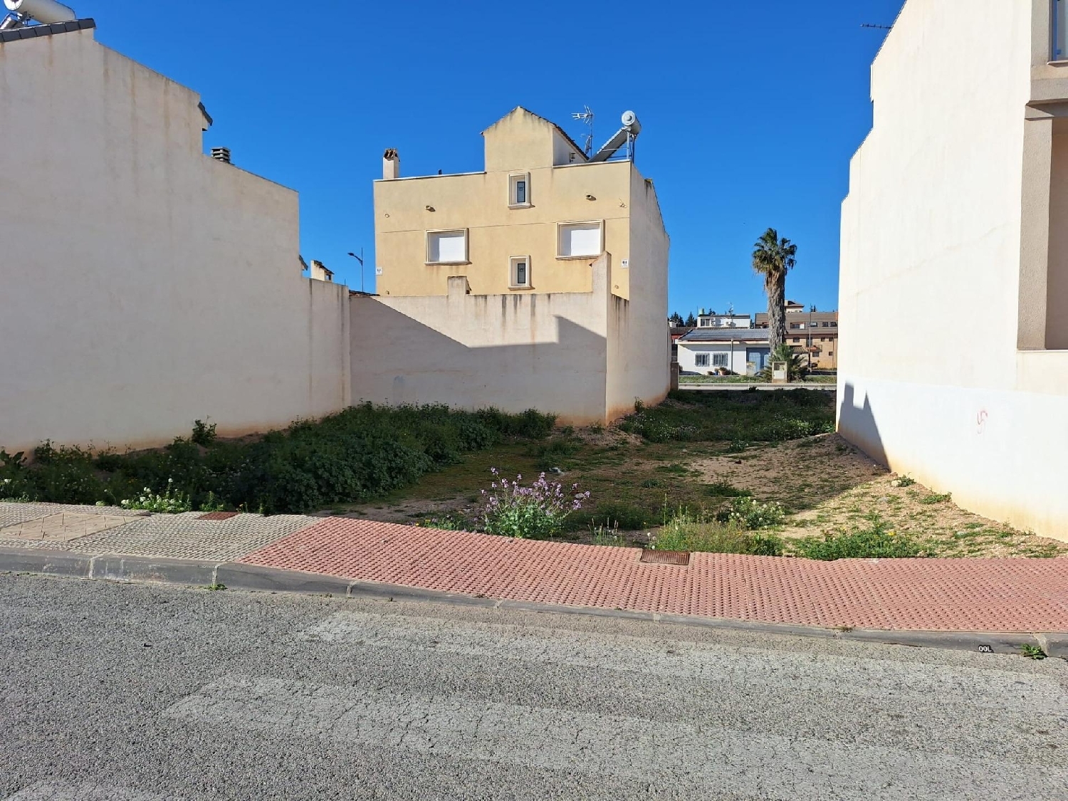  en venta terreno Archena Valle De Ricote 1