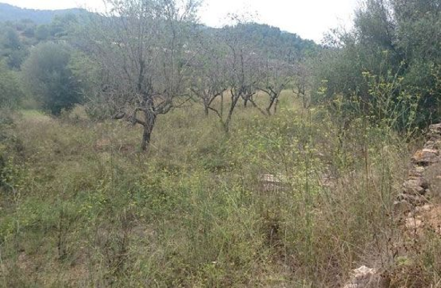  for sale plot Artana Plana Baixa 3