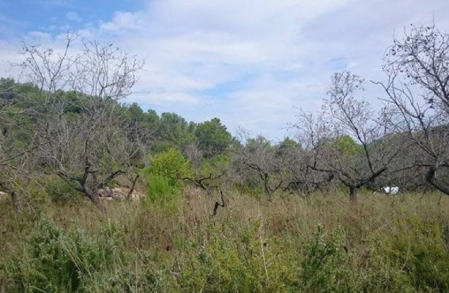  for sale plot Artana Plana Baixa 3