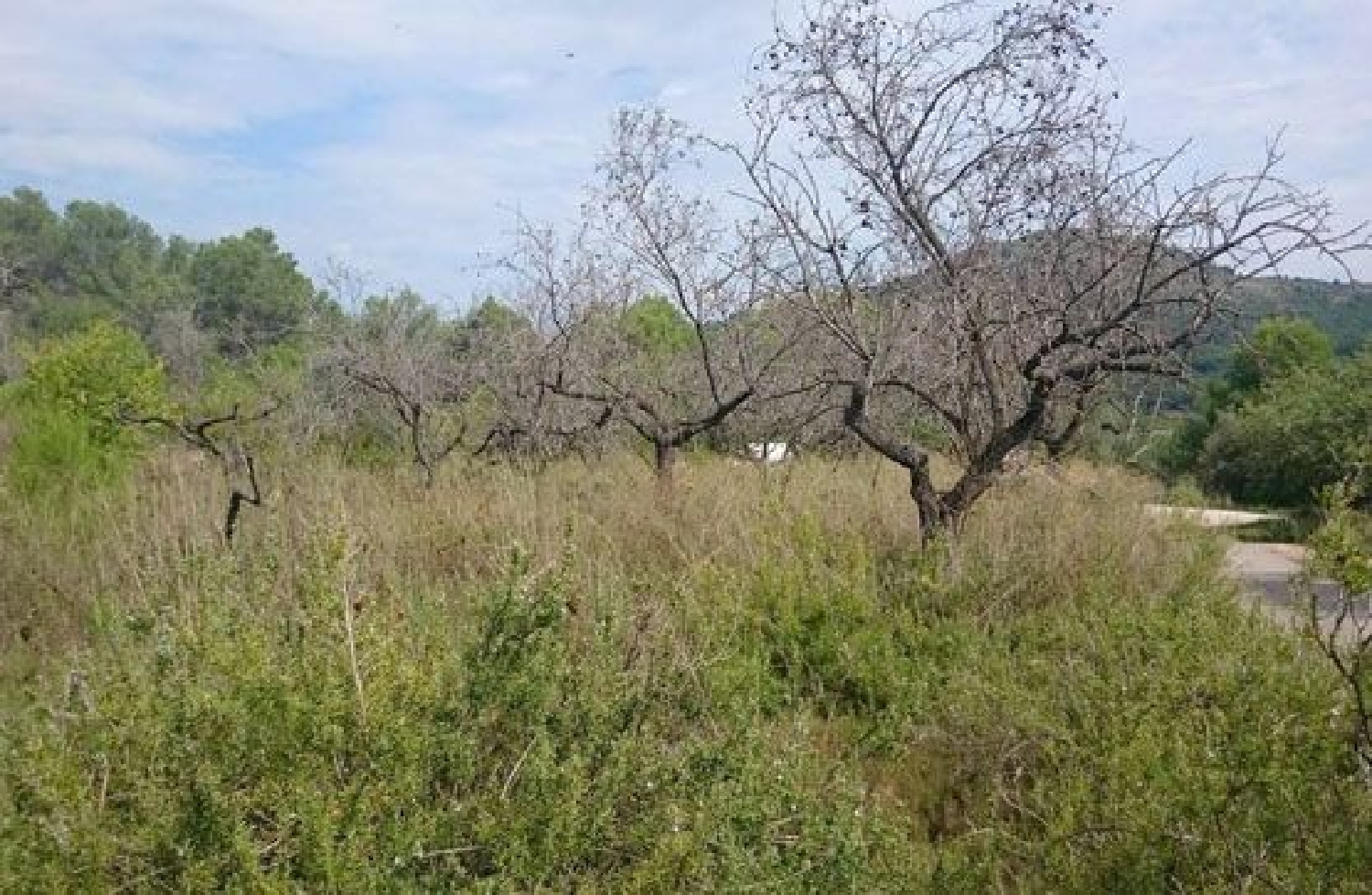  for sale plot Artana Plana Baixa 2