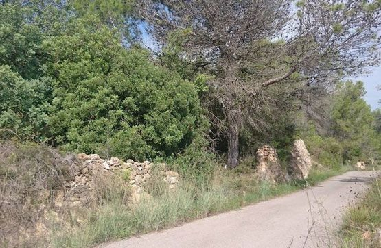  for sale plot Artana Plana Baixa 1