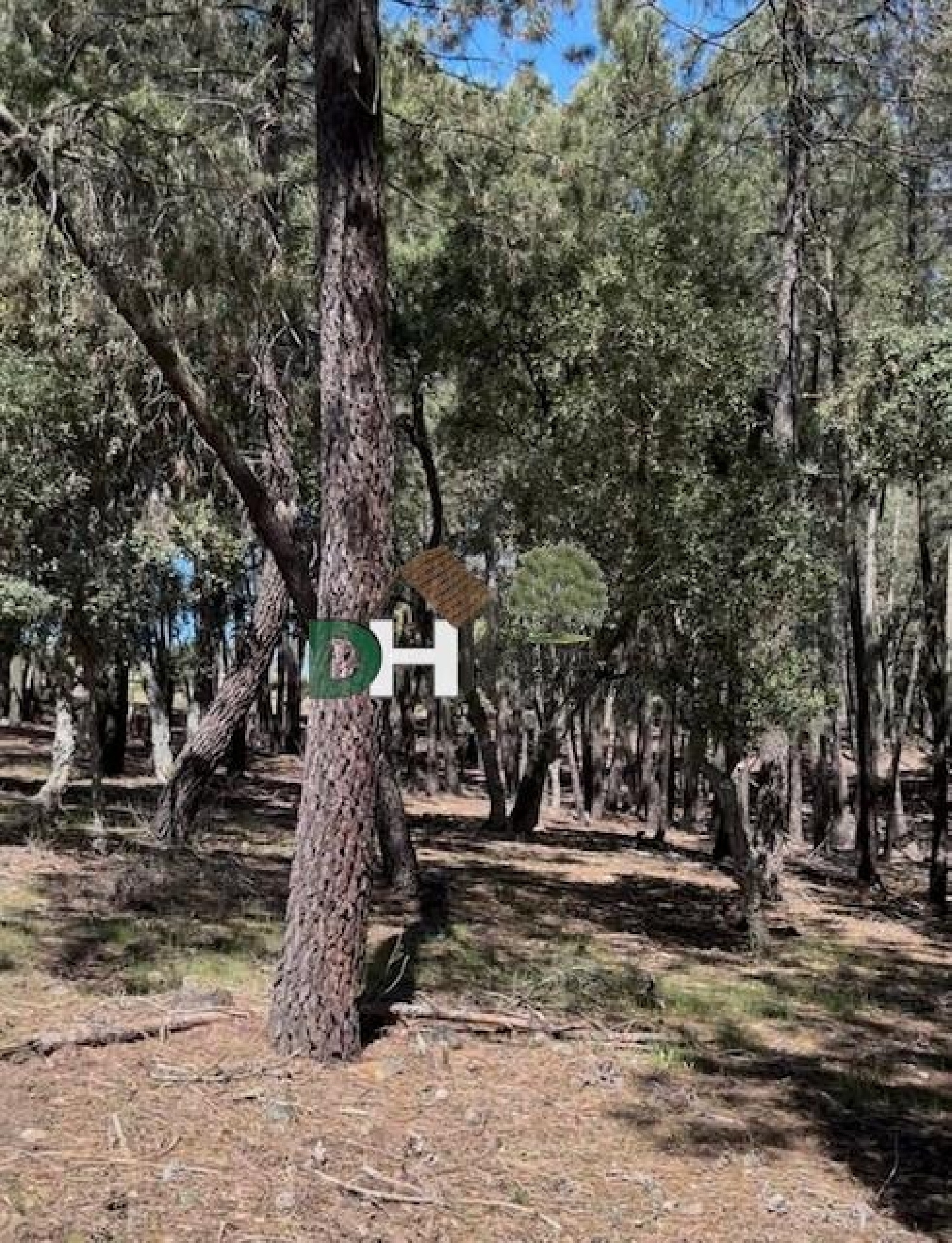  for sale plot Badajoz Casco Antiguo-Centro Badajoz 8