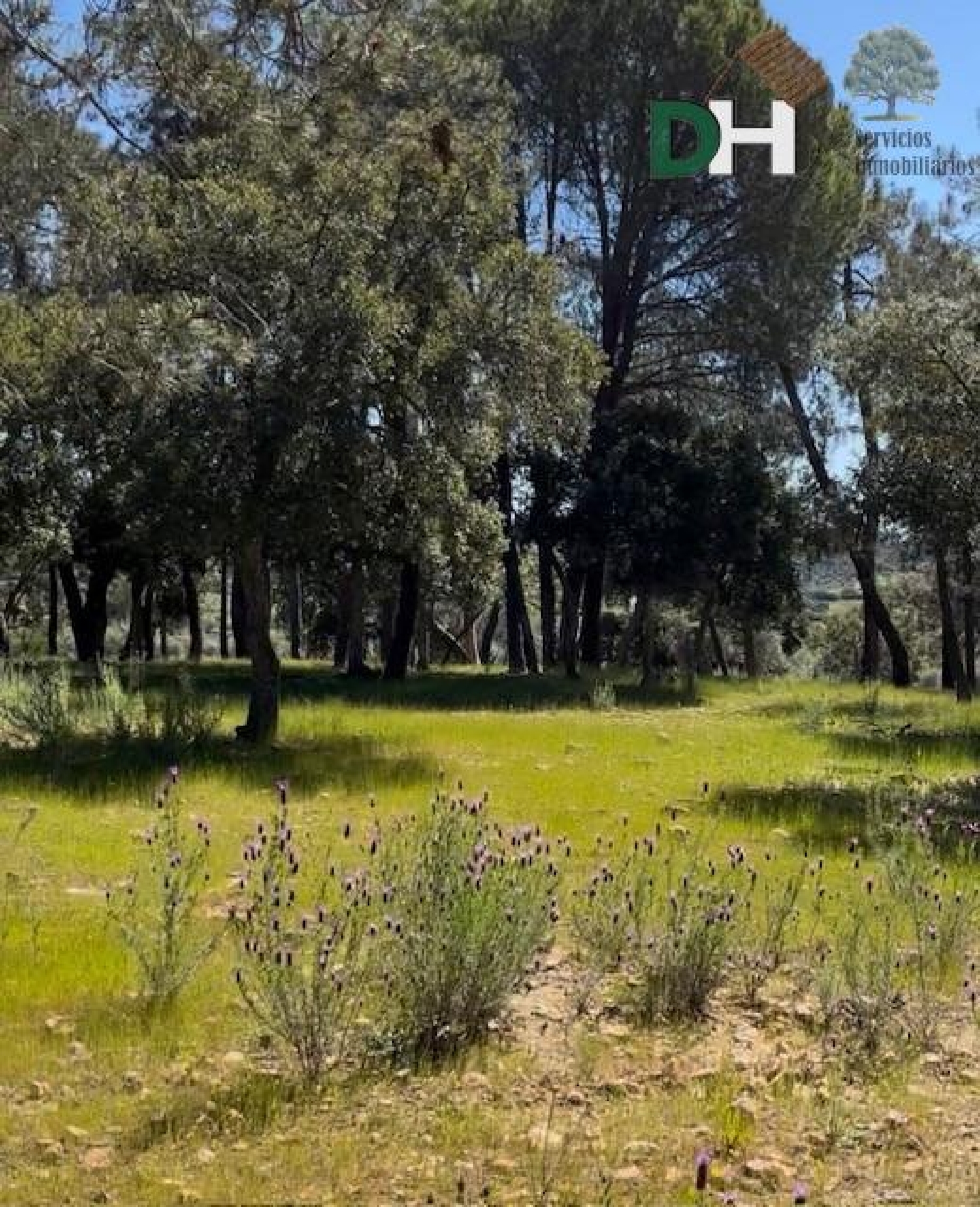  for sale plot Badajoz Casco Antiguo-Centro Badajoz 5