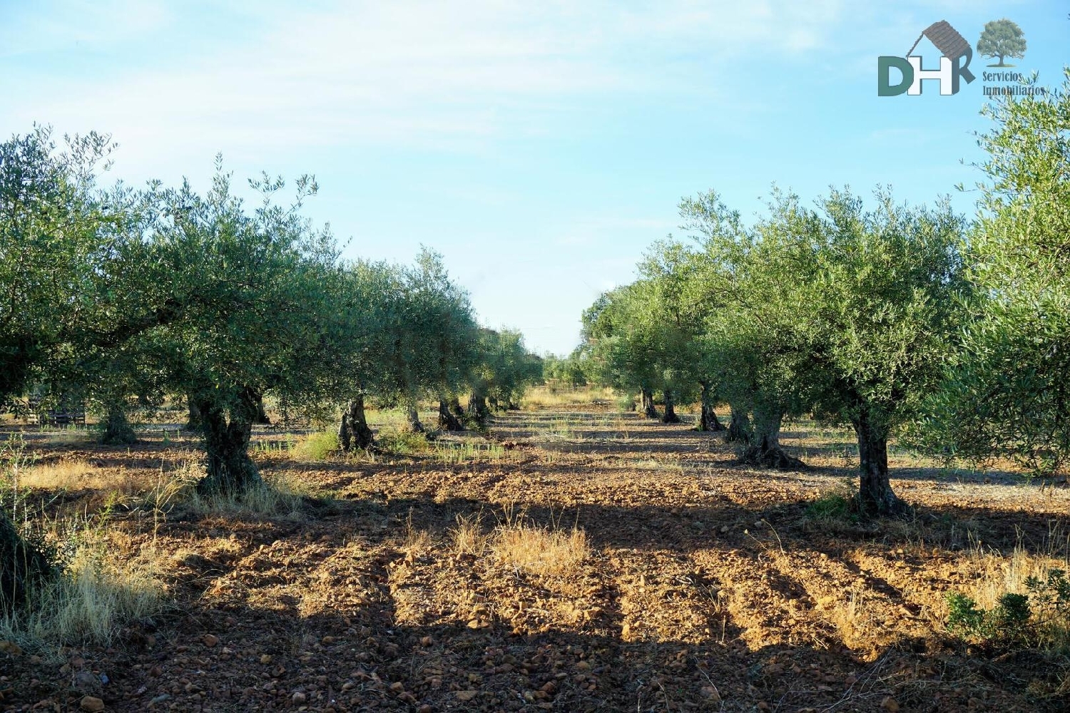  for sale plot Badajoz Casco Antiguo-Centro Badajoz 1