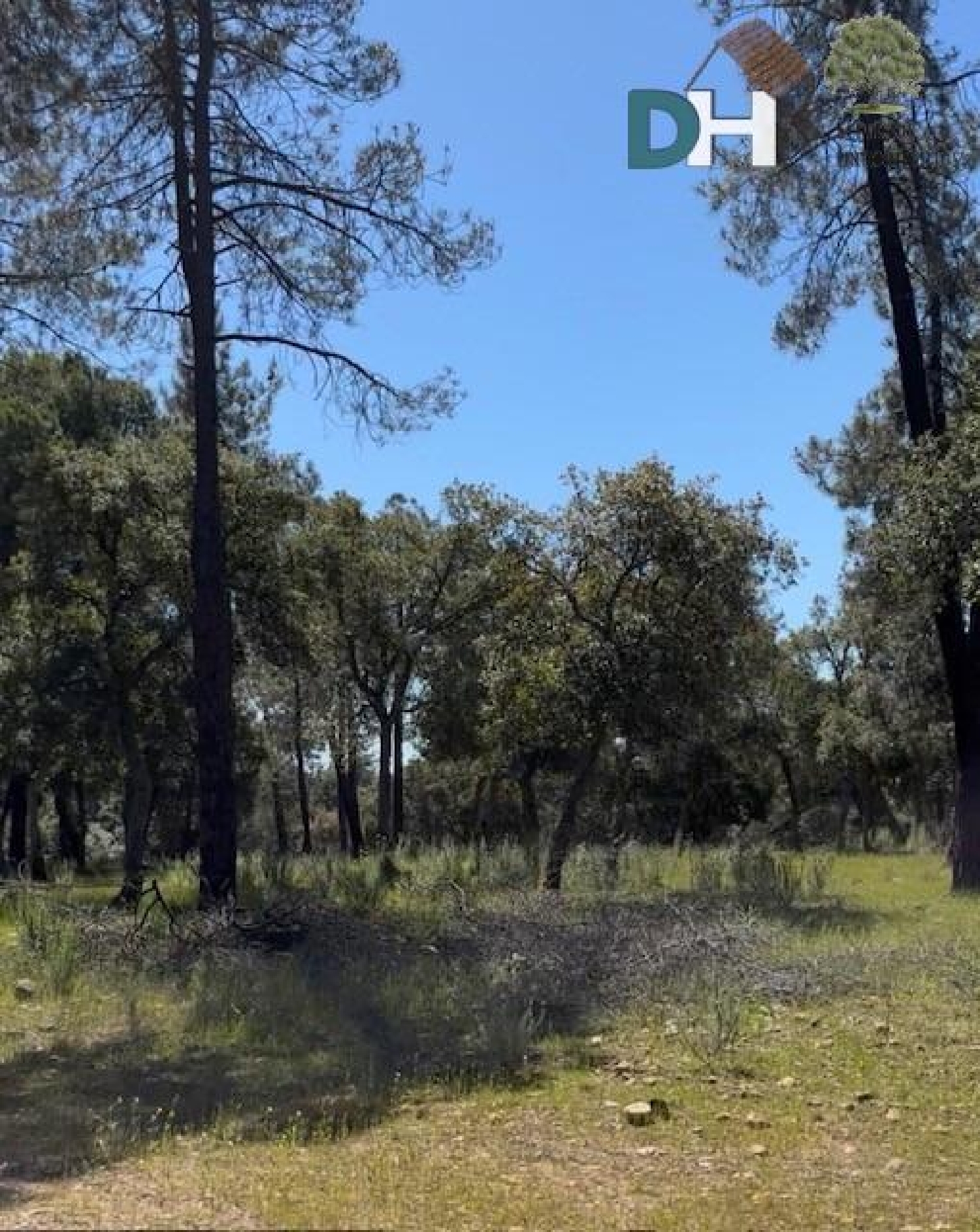  for sale plot Badajoz Casco Antiguo-Centro Badajoz 2