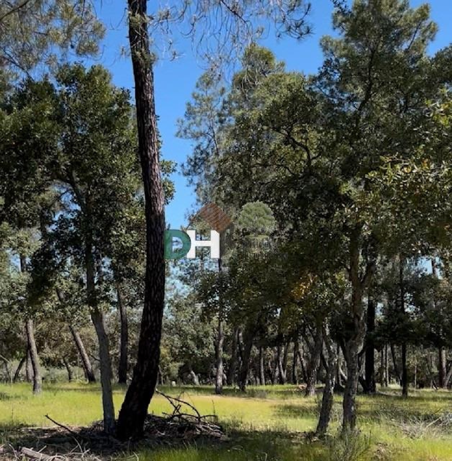  for sale plot Badajoz Casco Antiguo-Centro Badajoz 4