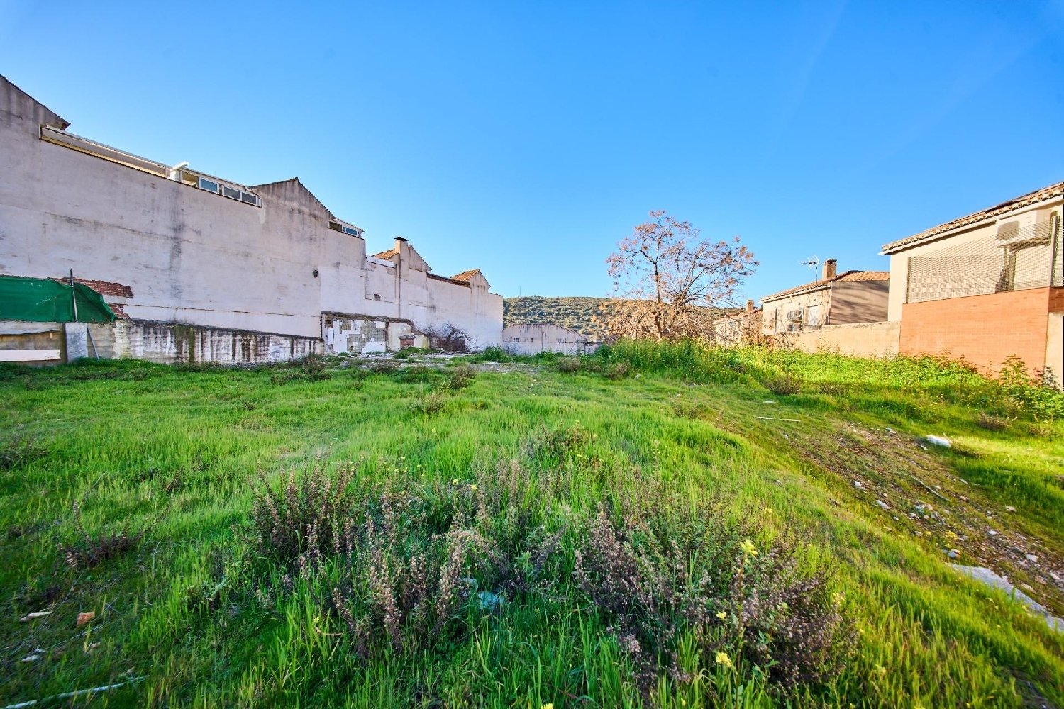 kaufen Grundstück Barrio De Granada Alacantí 5