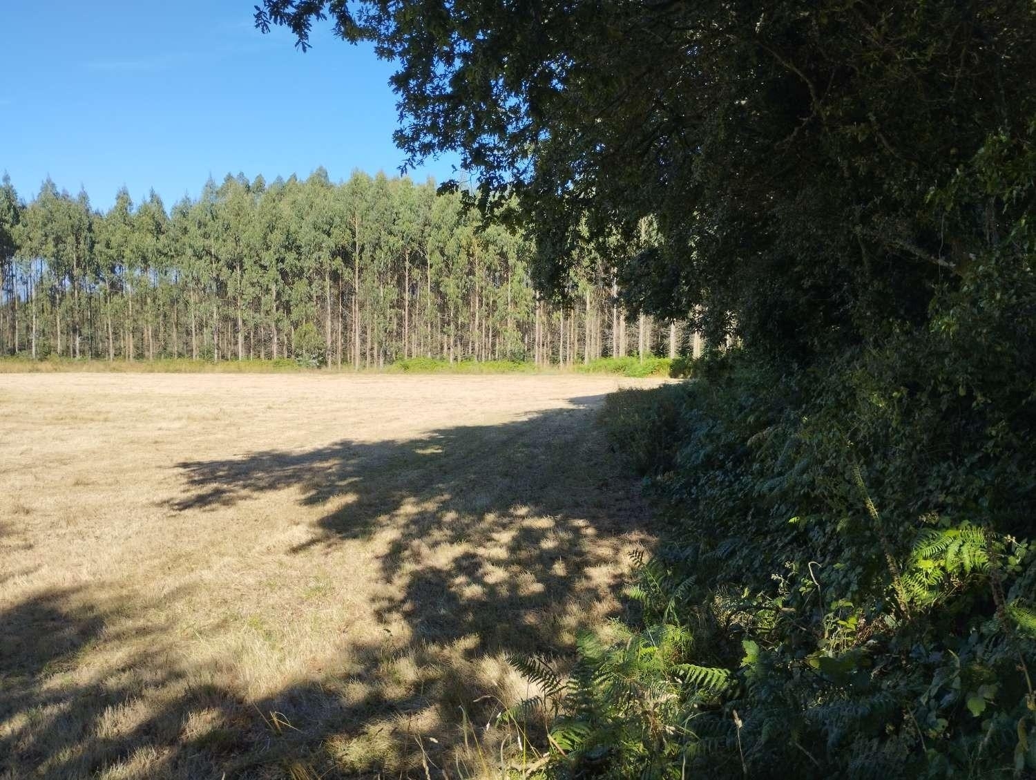  kaufen Grundstück Begonte Terra Chá 5