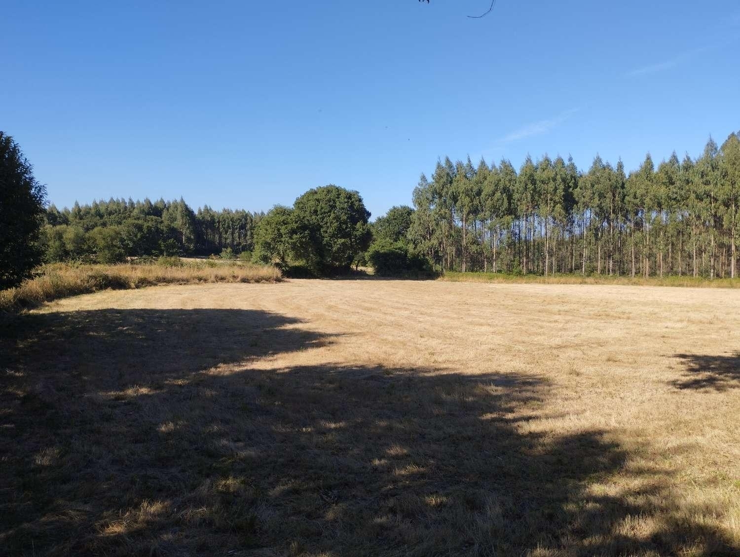  kaufen Grundstück Begonte Terra Chá 6