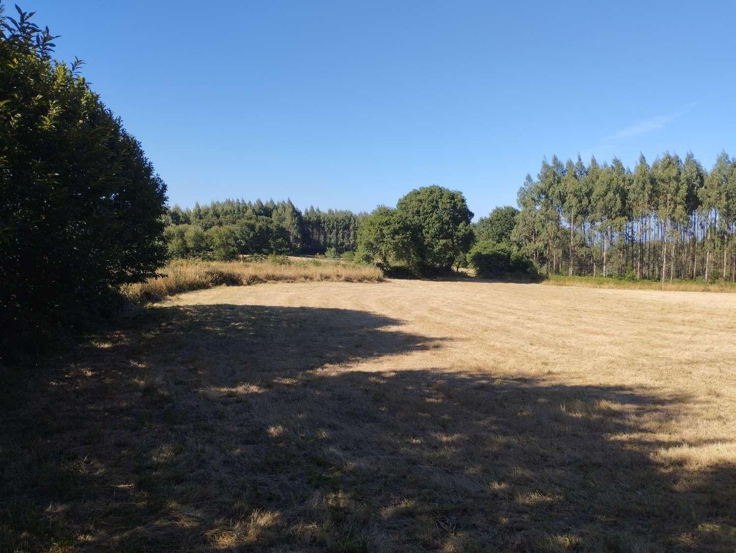  kaufen Grundstück Begonte Terra Chá 3